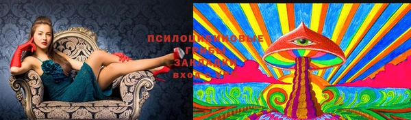 мяу мяу мука Армянск