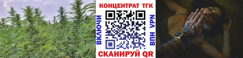 ТГК THC oil  Чадан 