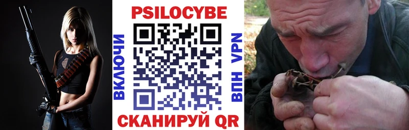 как найти   Чадан  Псилоцибиновые грибы Psilocybine cubensis 
